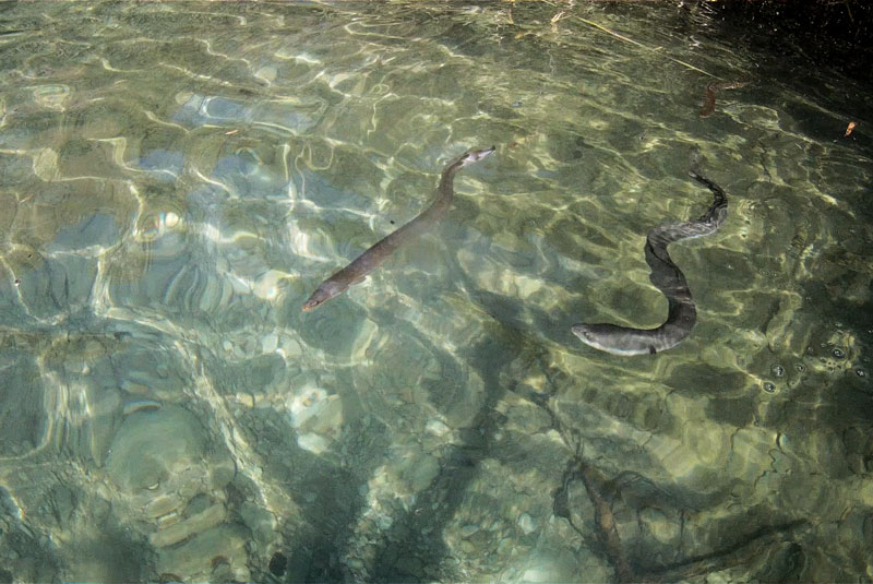 River Trekking in Sicily